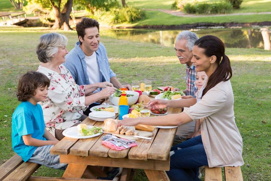 family having a picnic outdoor with elderly loved ones